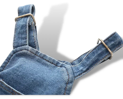 Denim Dog Overalls