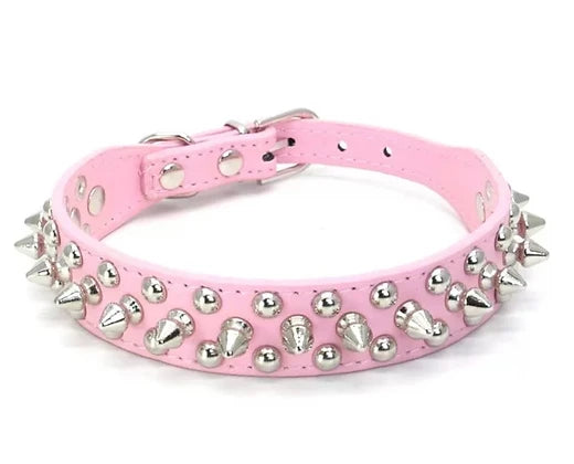 Spiked Dog Collar