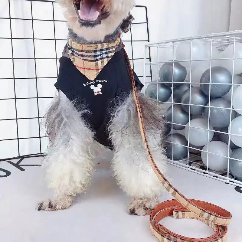 Scarf/Bow-Tie Dog Collar