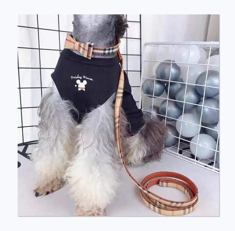 Scarf/Bow-Tie Dog Collar