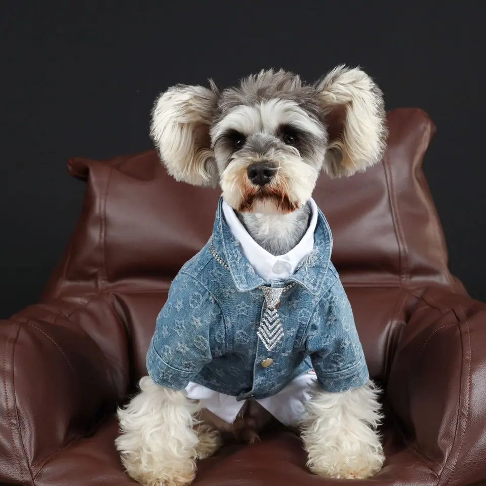 Louis Pawtton Denim Dog Jacket