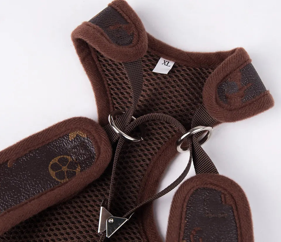 Louis Pawtton Dog Harness Set