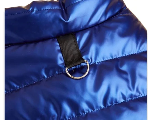 Royal Blue Dog Bomber