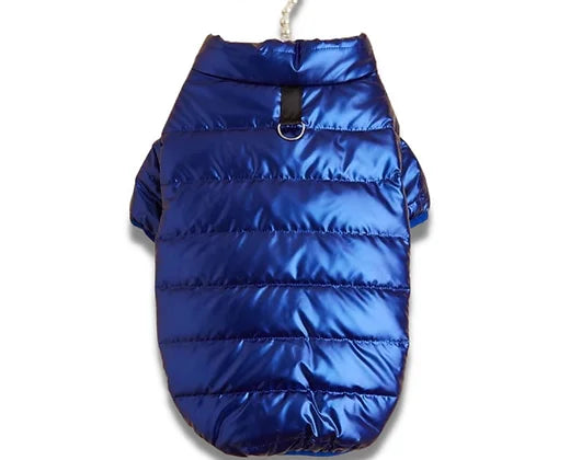 Royal Blue Dog Bomber