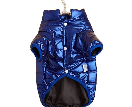Royal Blue Dog Bomber