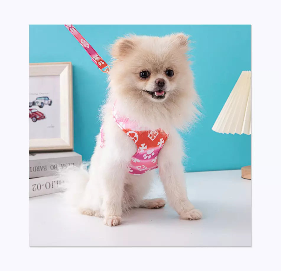 Luxury Louis Pawtton Dog Harness