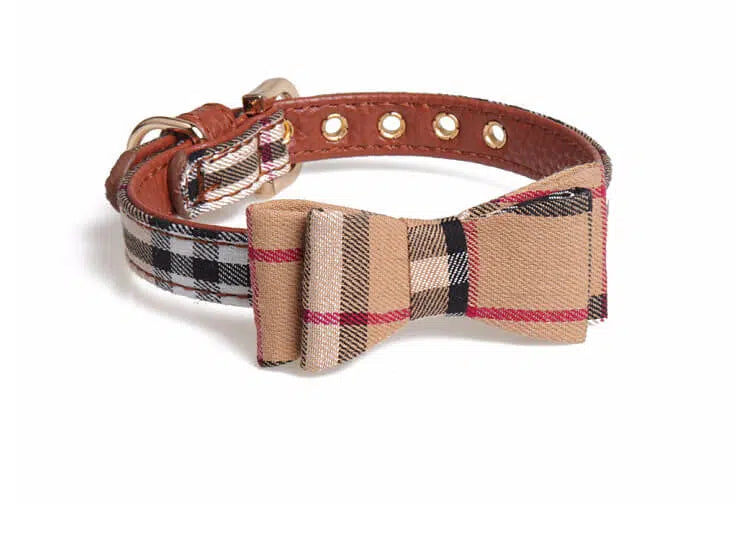 Scarf/Bow-Tie Dog Collar
